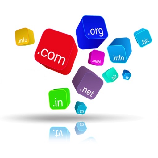 Domain name registration, web hosting