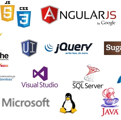 Microsoft Windows SQL and web applications